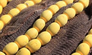 Bass Fishing Productions Net Worth