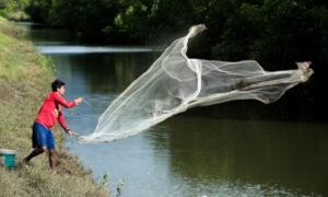 Best Fishing Net for Beginners