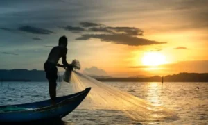 Best Fishing Net for Beginners