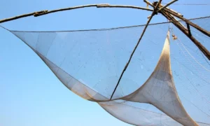 Best Fishing Net for Beginners