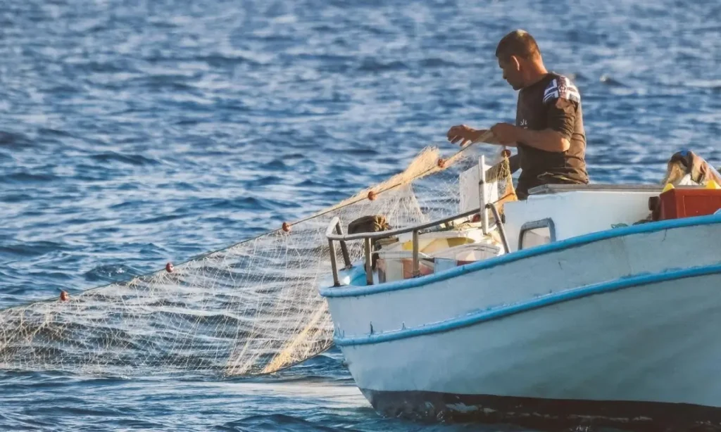 Best Fishing Net for Beginners