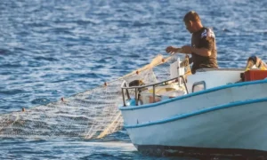 Best Fishing Net for Beginners
