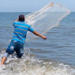 Best Fishing Net for Beginners