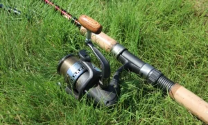 Crappie Fishing Rod and Reel Combos