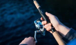 Crappie Fishing Rod and Reel Combos