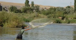 Best Fishing Net for Beginners 
