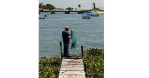 best beginner fishing net 2025 lightweight rubber handle