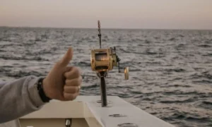 Best Gear Ratio for Fishing Reels