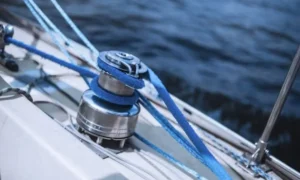 Best Gear Ratio for Fishing Reels