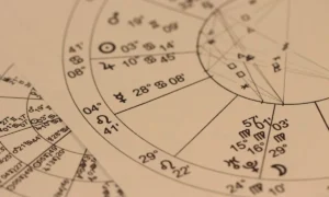 Fishing Reel Gear Ratio Chart