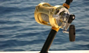 Fishing Reel Gear Ratios Guide