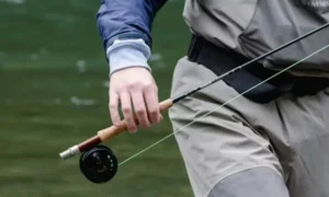 Fishing Rod Tips 
