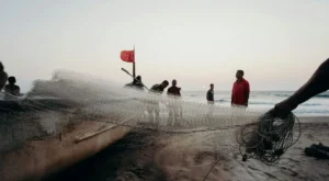 Fishing Spots in Marathon FL for Bully Netting