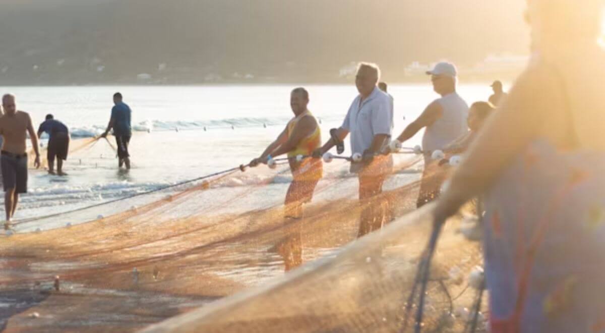 Fishing Spots in Marathon FL for Bully Netting