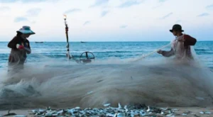 Fishing Spots in Marathon FL for Bully Netting