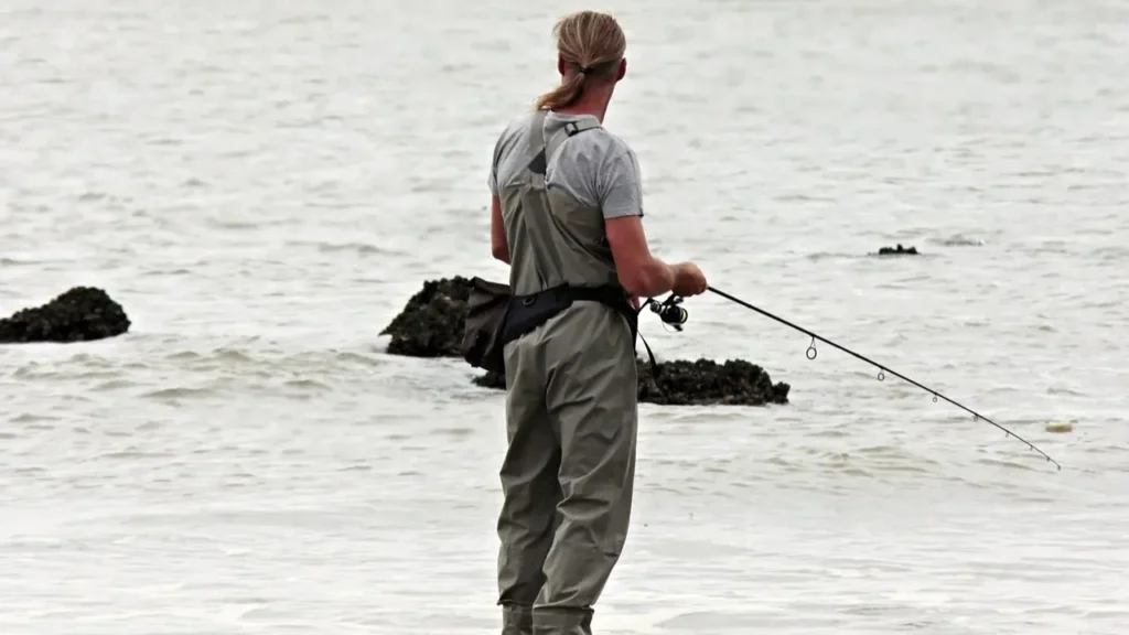 fishing rod
