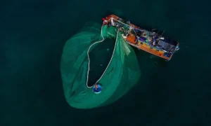 Top Fishing Spots in Marathon FL for Bully Netting 