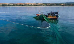 Top Fishing Spots in Marathon FL for Bully Netting 
