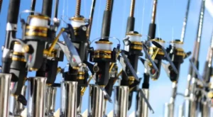 fishing reel gear ratio chart