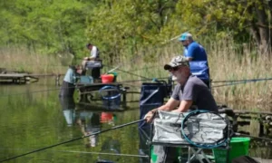 How to Make a Fishing Gaff