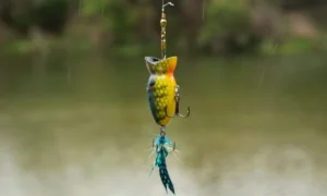 How to Make a Gaff for Fishing