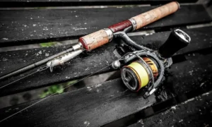 What to Grease Fishing Reel With