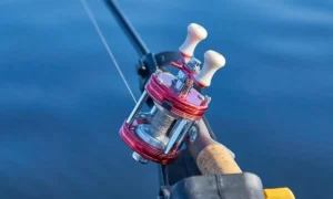 What to Grease Fishing Reel With