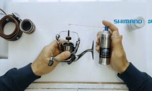 What to Grease Fishing Reel With