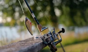 What to Grease Fishing Reel With