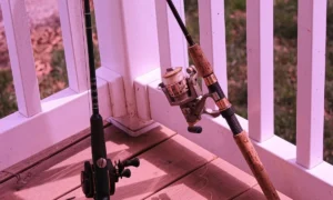 What to Grease Fishing Reel With