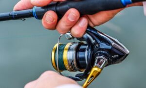 How to Clean a Spinning Reel