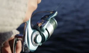 How to Clean a Spinning Reel