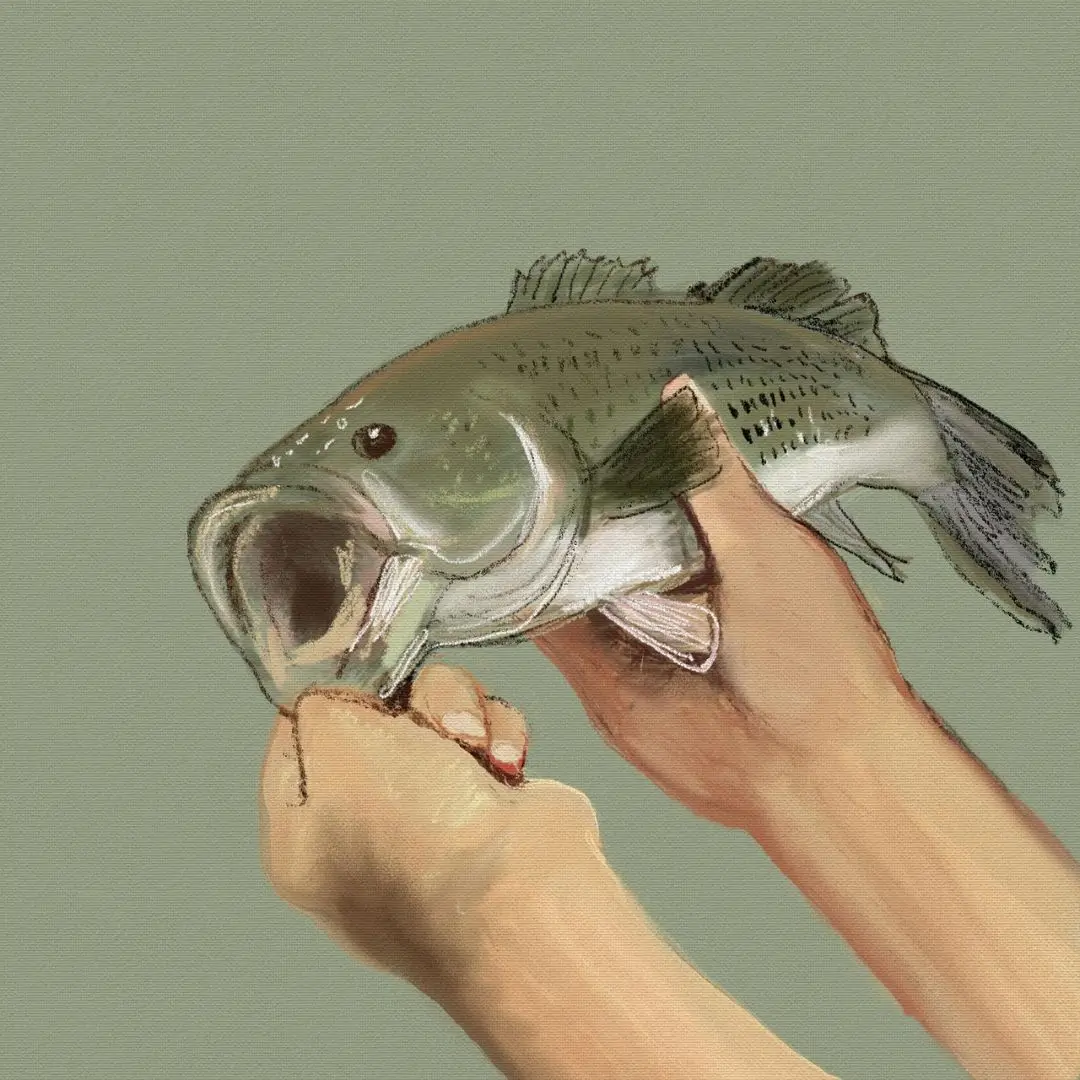 Can You Catch Boundary Water Fish with Braided Line
