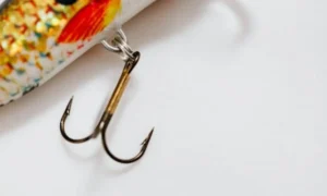 Do Fish Hooks Dissolve