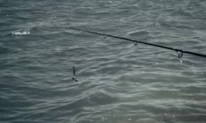 How Long Does Fishing Line Last