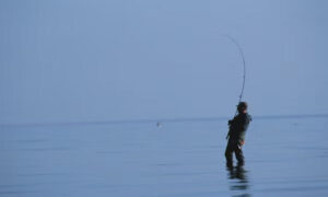 How Long Does Fishing Line Last