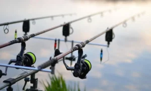 Storing Fishing Rods