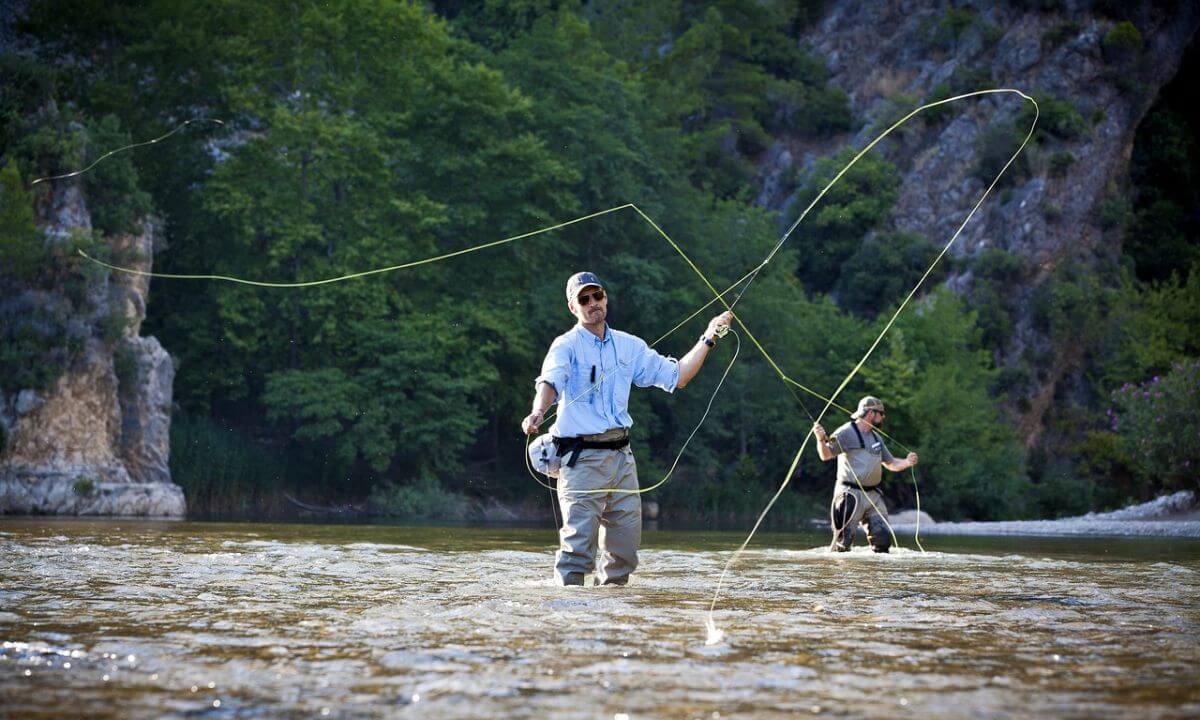 fly fishing for striped bass