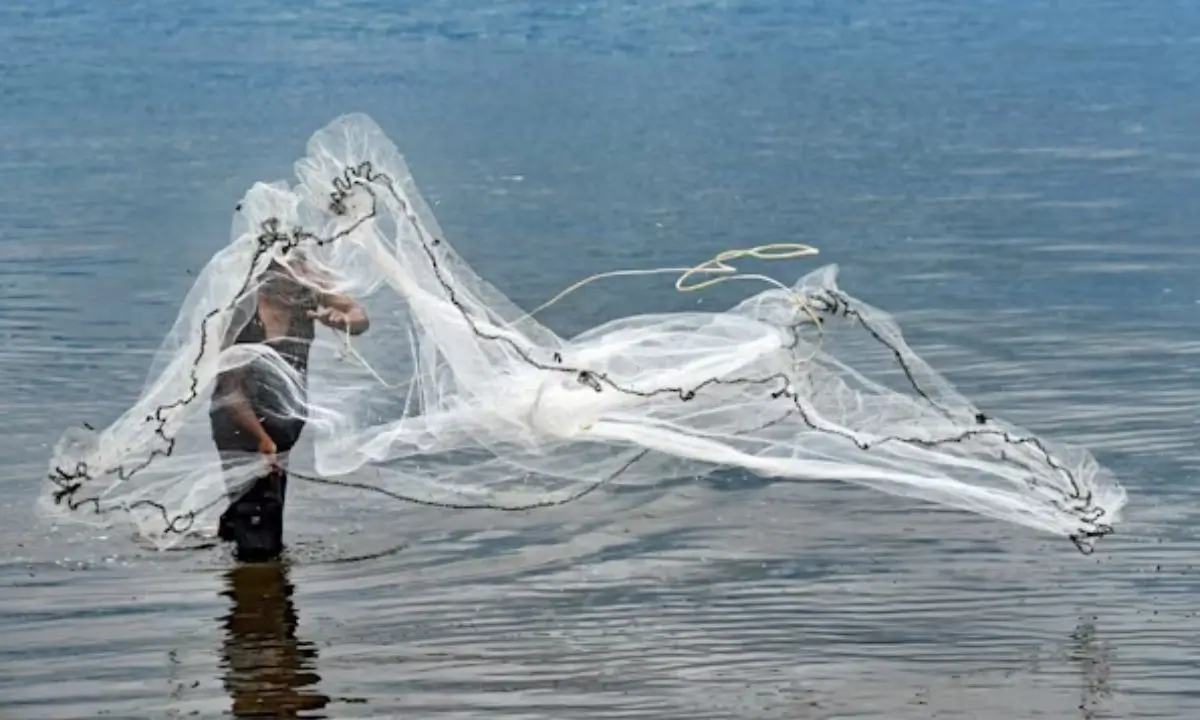 Types of Nets Used for Fishing