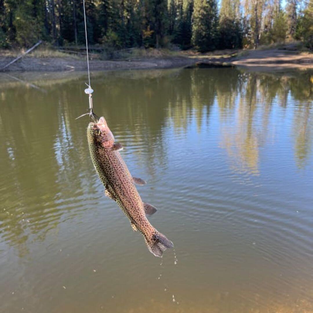what size hooks for trout fishing
