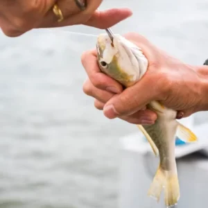 what size hooks for trout fishing