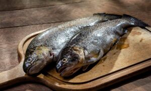 what size hooks for trout fishing